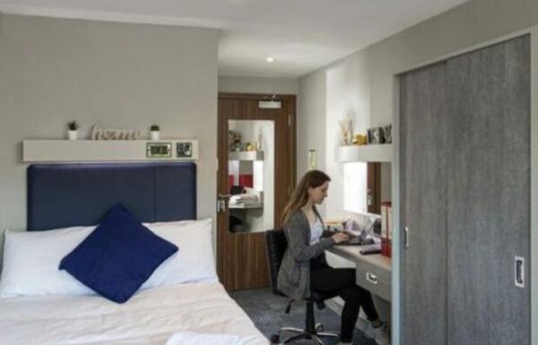 Untitled design (13)