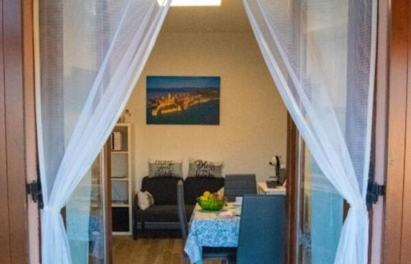 Untitled design (14)