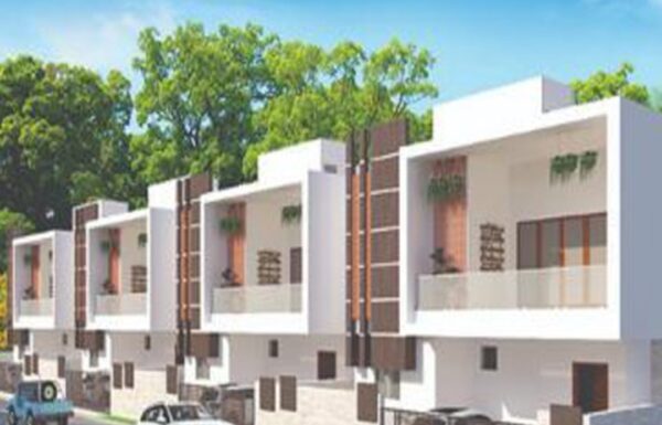 Untitled design (19)