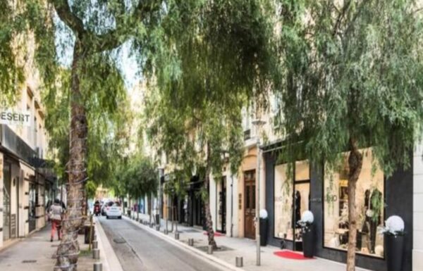 Untitled design (23)