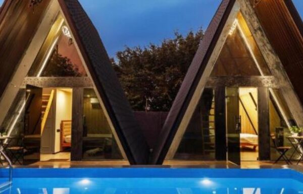 Untitled design (24)