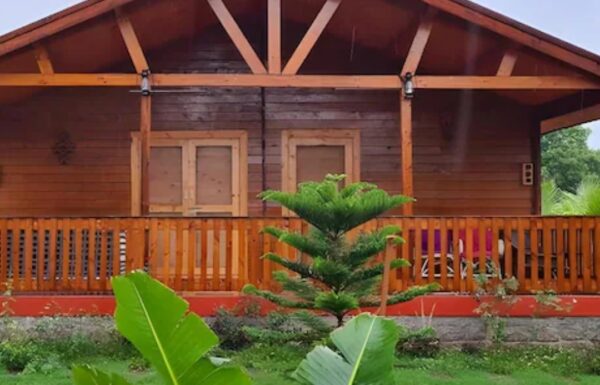 Untitled design (25)