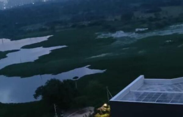 Untitled design (28)