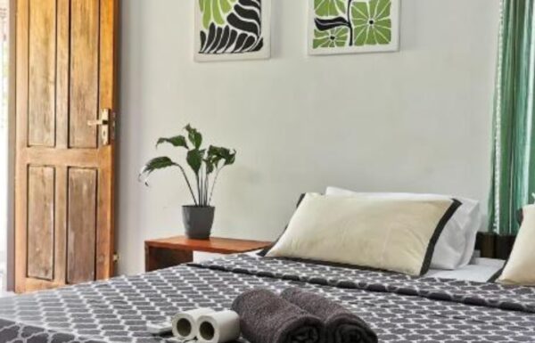 Untitled design (29)