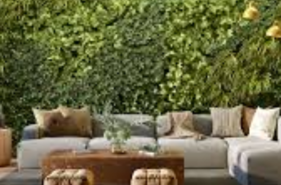 Sustainable Interior Design Guide: Eco-Friendly Interiors & Cost in Hyderabad (2026)
